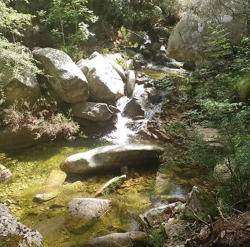 Panzió Le Isole San Teodoro